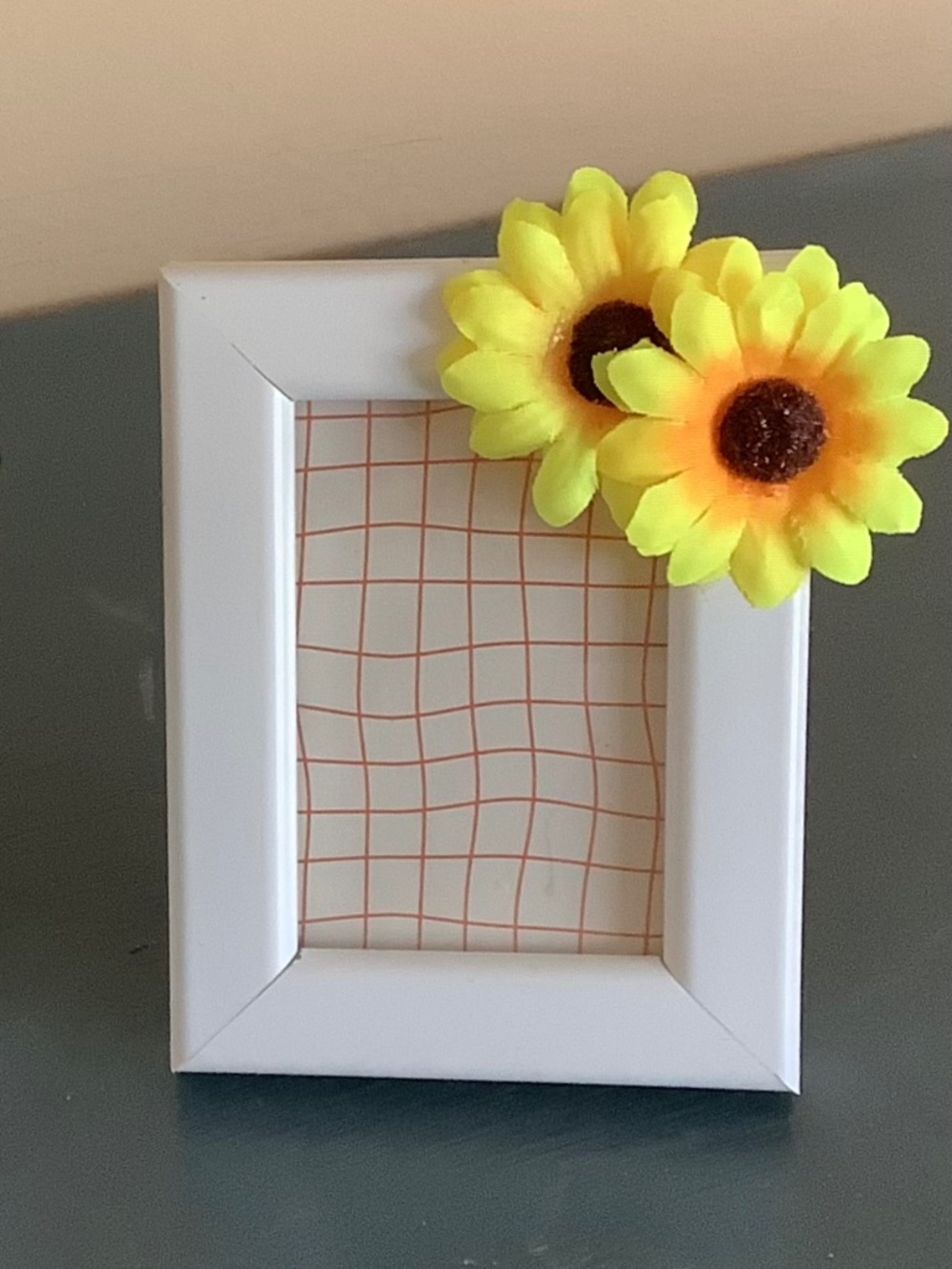 2x3 sunflower frame